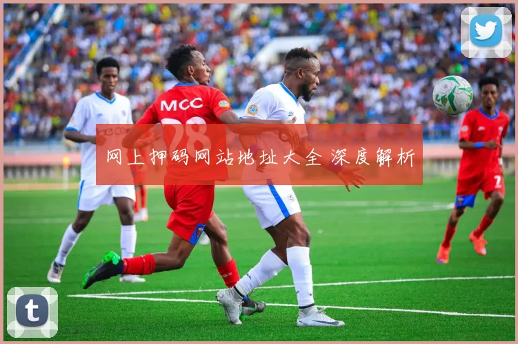 网上押码网站地址大全 深度解析