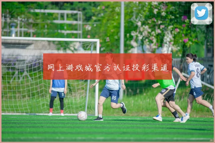 网上游戏城官方认证投彩渠道