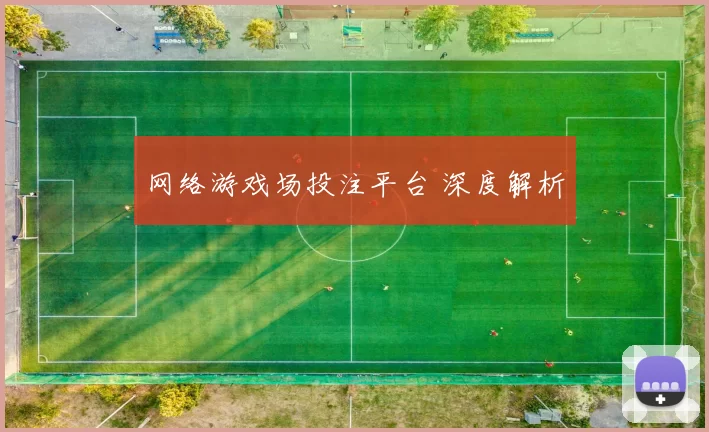 网络游戏场投注平台 深度解析