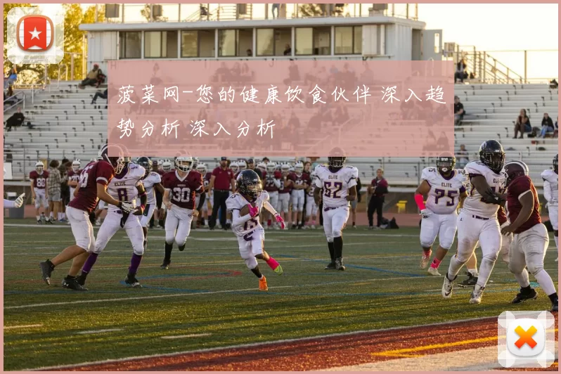 菠菜网-您的健康饮食伙伴 深入趋势分析 深入分析