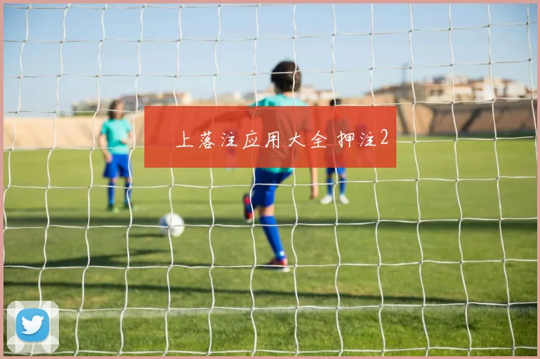 網上落注应用大全 押注2