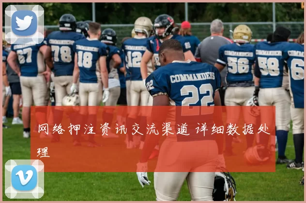 网络押注资讯交流渠道 详细数据处理
