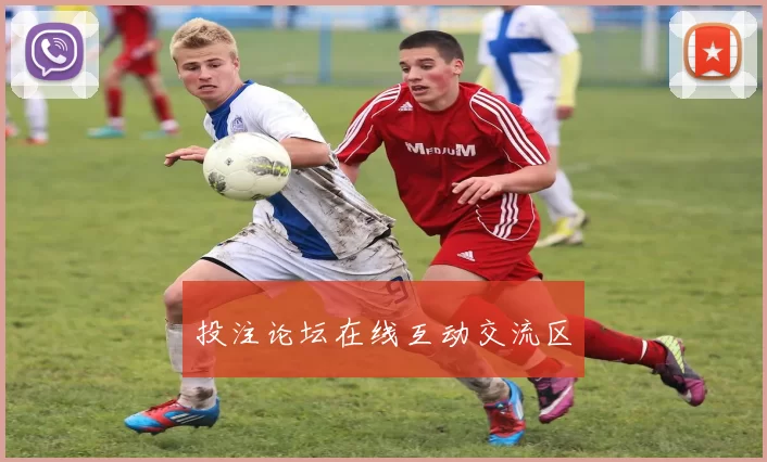 投注论坛在线互动交流区