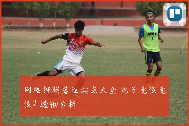 网络押码落注站点大全 电子竞技竞技2 透彻分析