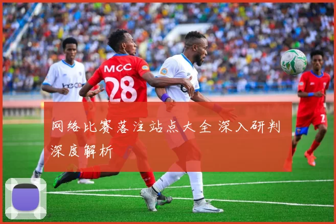 网络比赛落注站点大全 深入研判 深度解析