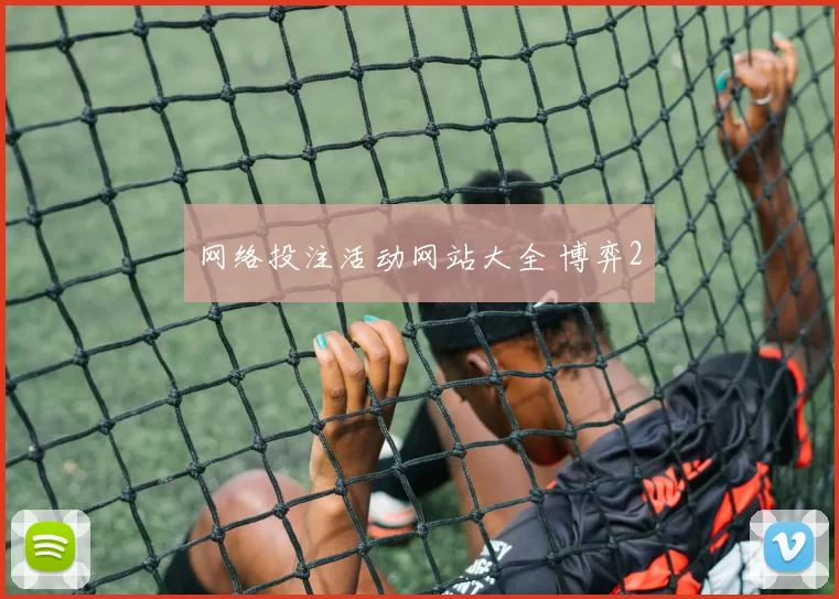 网络投注活动网站大全 博弈2