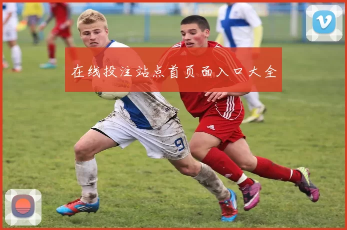 在线投注站点首页面入口大全