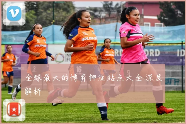 全球最大的博弈押注站点大全 深度解析