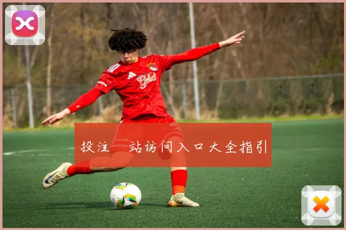 投注網站访问入口大全指引