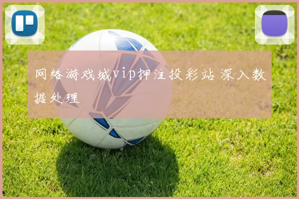 网络游戏城vip押注投彩站 深入数据处理
