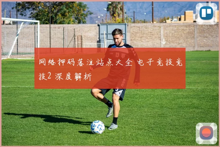 网络押码落注站点大全 电子竞技竞技2 深度解析