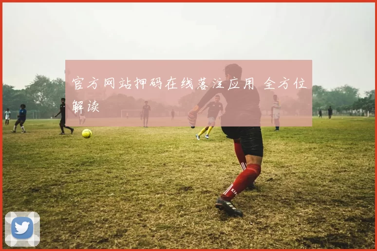 官方网站押码在线落注应用 全方位解读