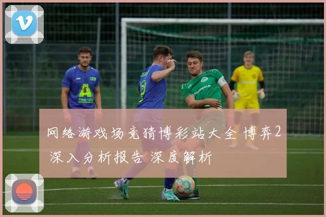 网络游戏场竞猜博彩站大全 博弈2 深入分析报告 深度解析