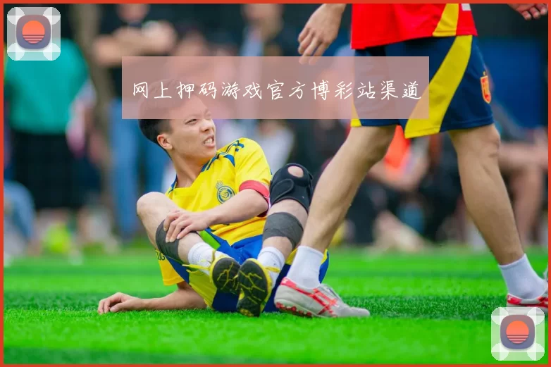 网上押码游戏官方博彩站渠道