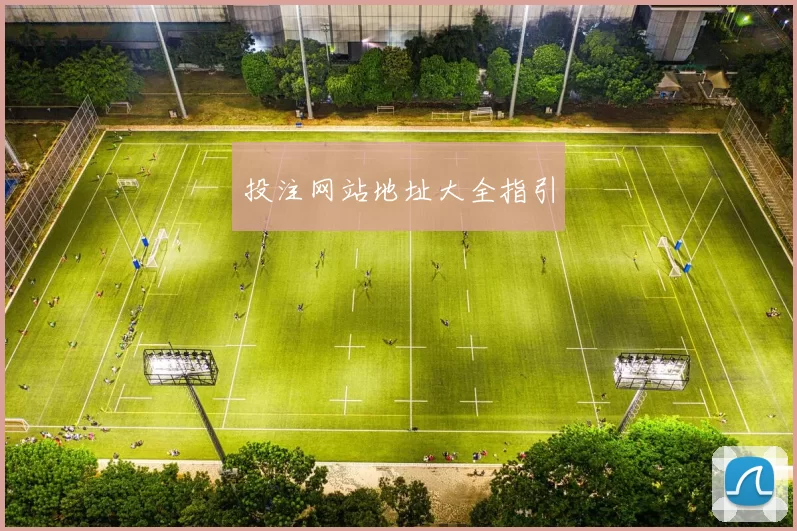 投注网站地址大全指引