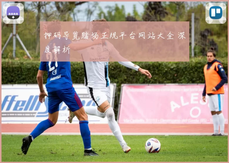 押码导览赌场正规平台网站大全 深度解析