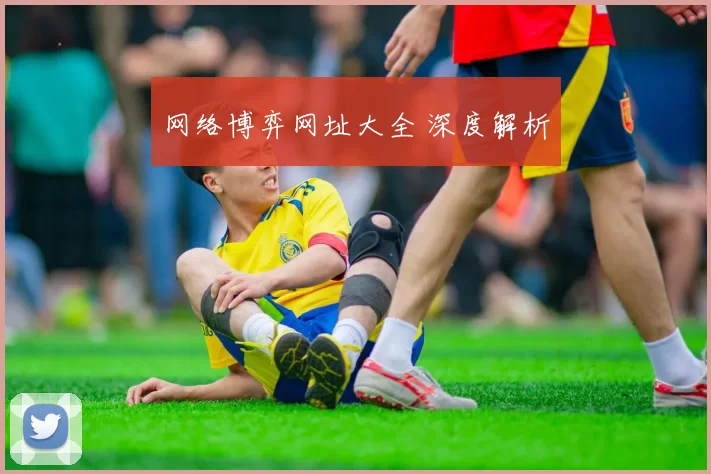 网络博弈网址大全 深度解析