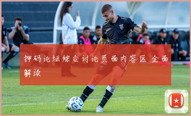 押码论坛综合讨论页面内容区 全面解读