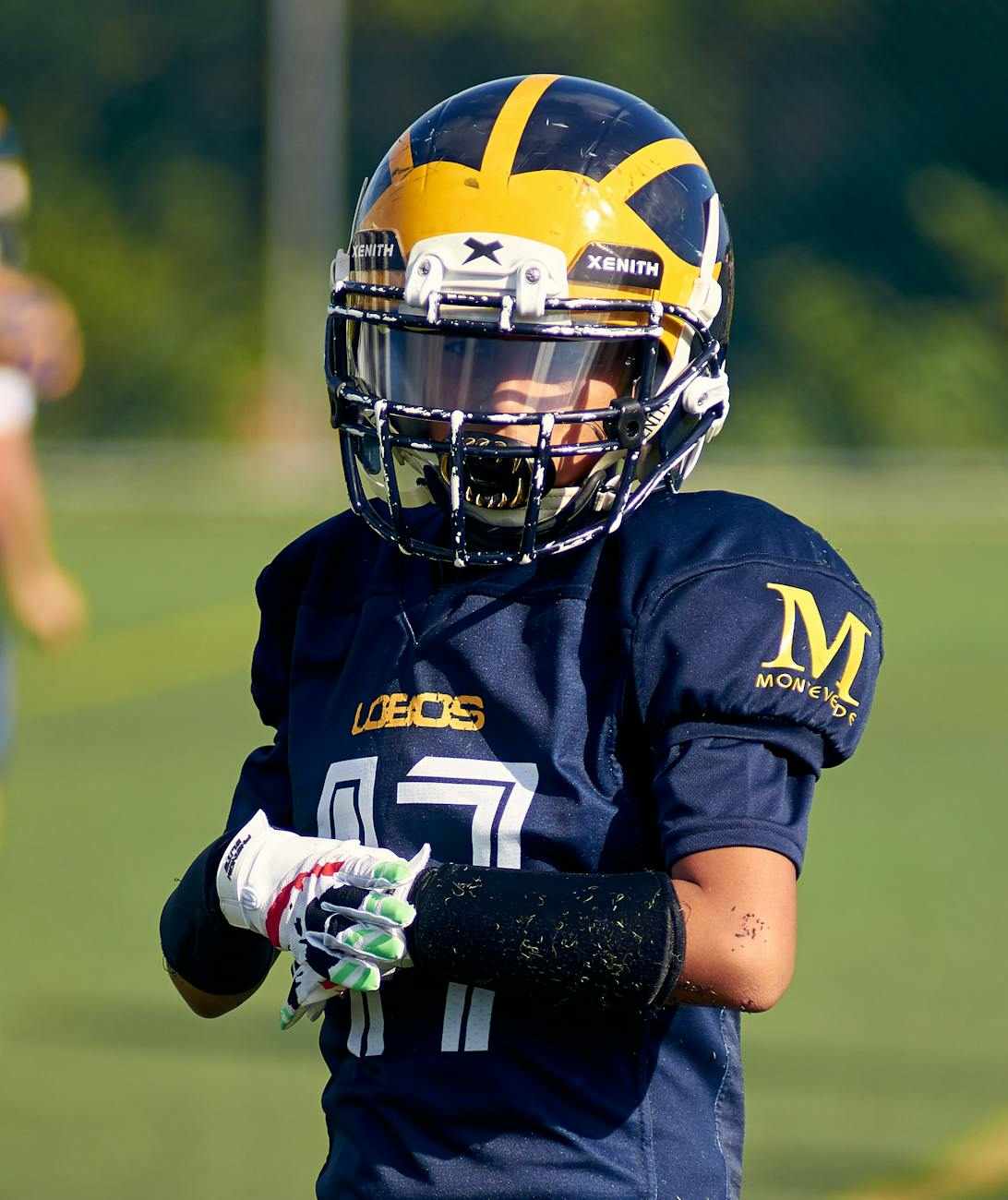 菠菜网中文版官方网站_2